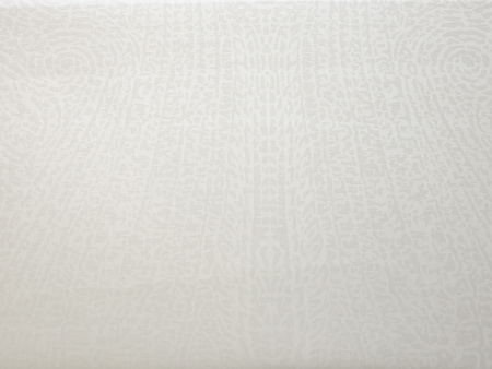  Наволочка Elegante Paisley 2408R/7 (creme/кремовый) фото в интернет-магазине Герд Биллербек